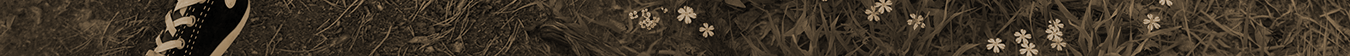 Image 2 Cut